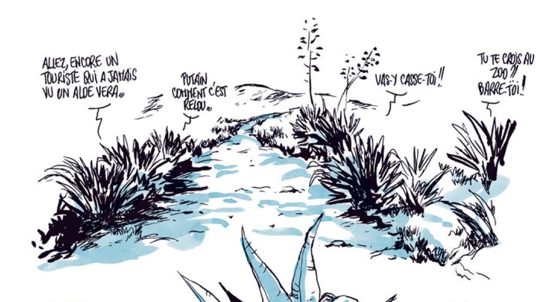 Illustration de l'article