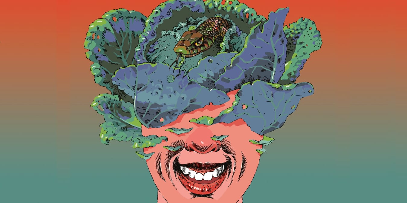 Illustration de l'article
