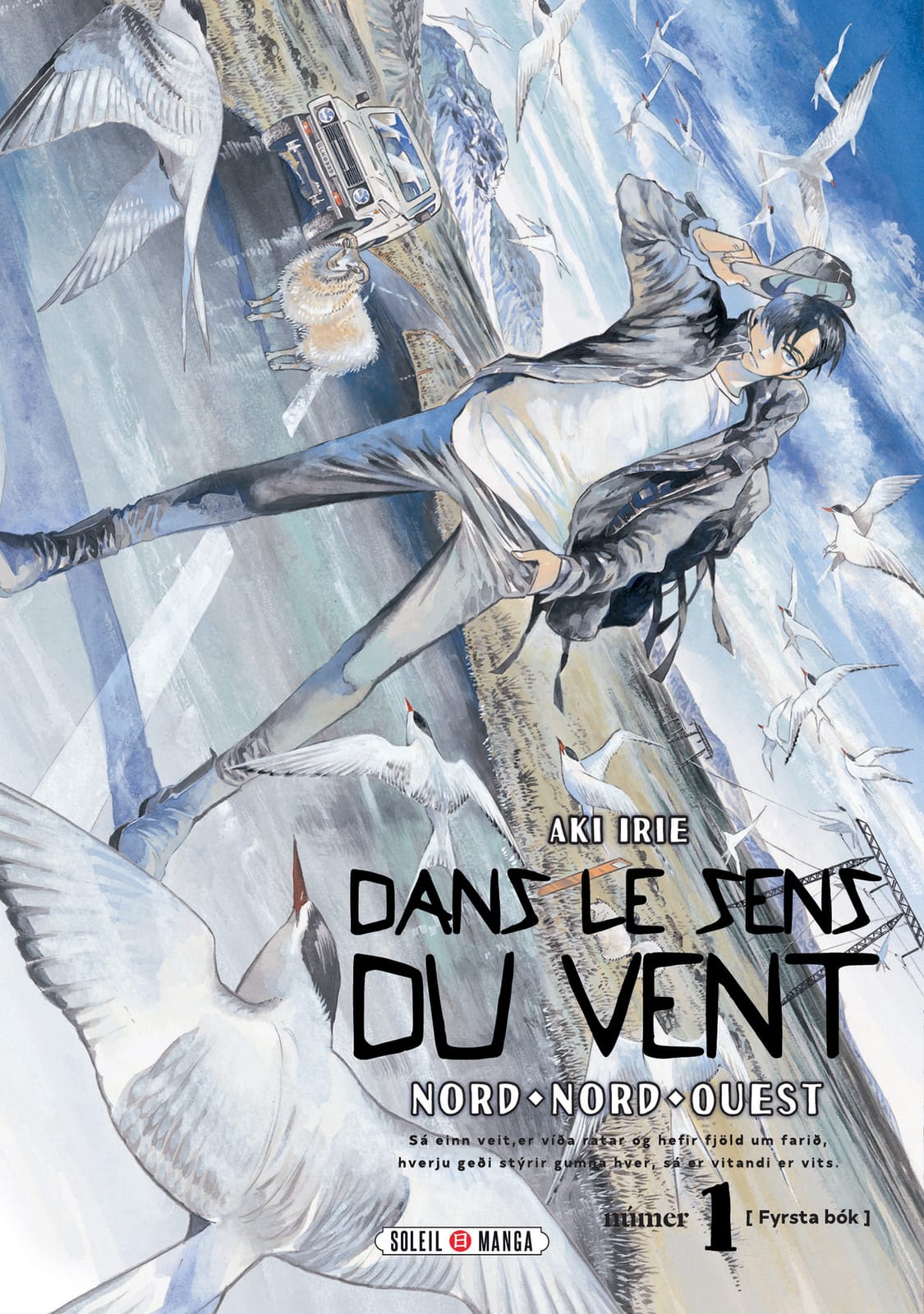 Dans le sens du vent – Nord, Nord-Ouest d’Aki Irie, Soleil
