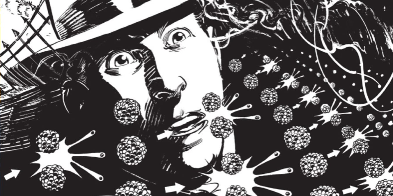 Illustration de l'article