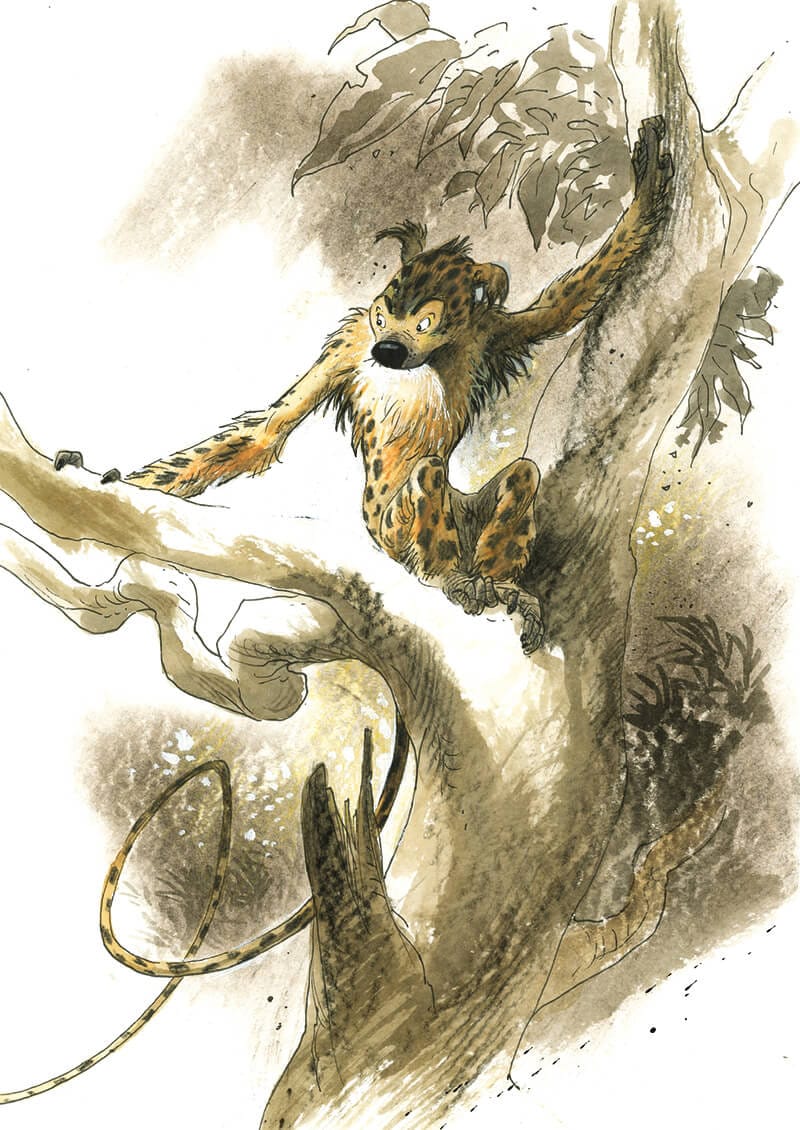 Le Marsupilami de Frank Pé et Zidrou, Dupuis