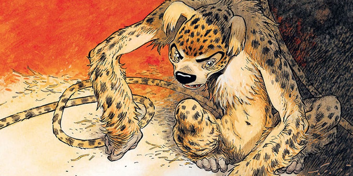 Illustration de l'article