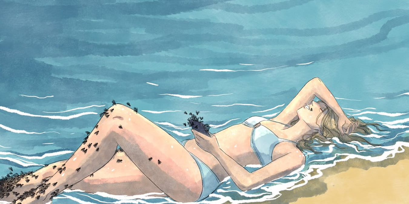 Illustration de l'article