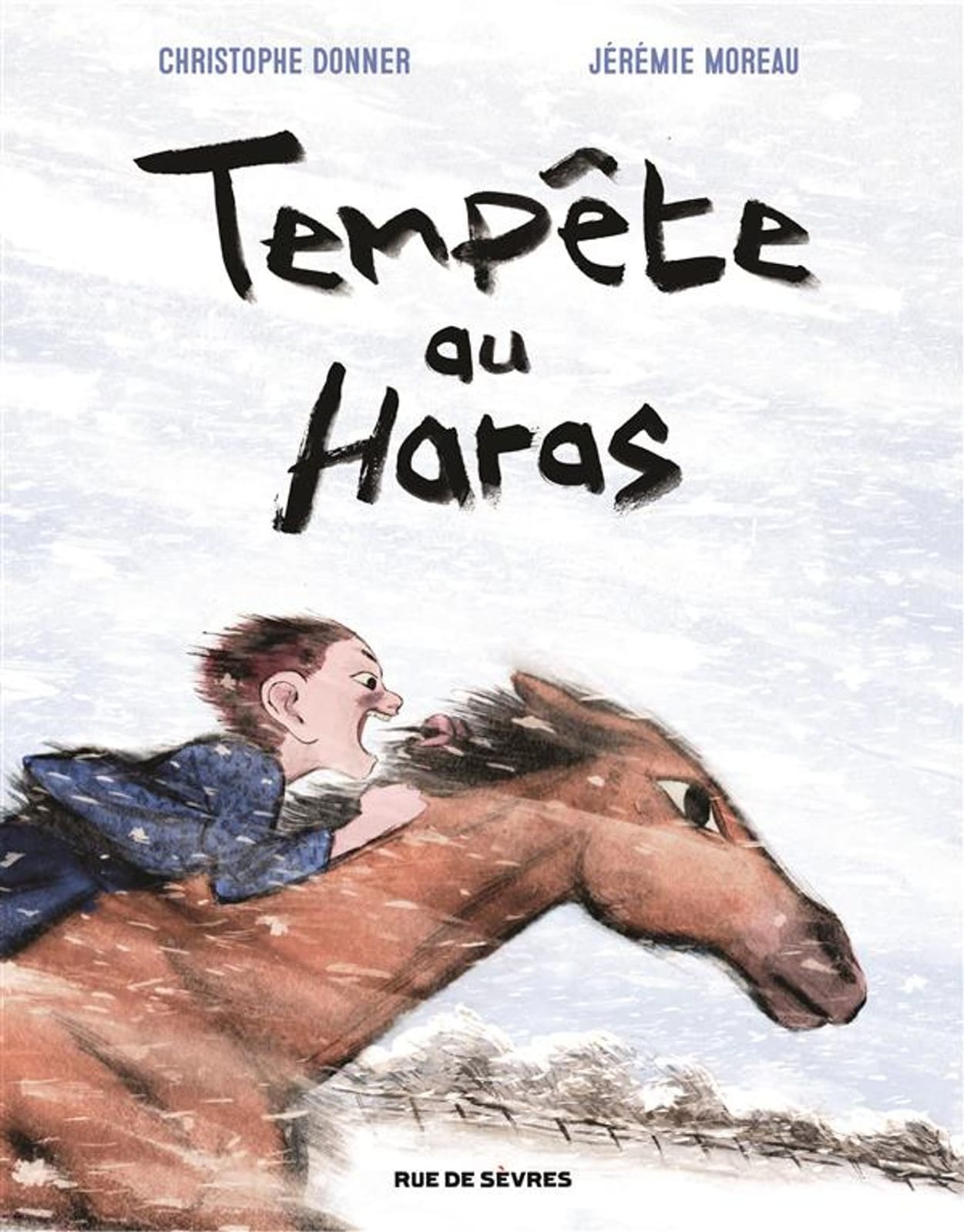 Tempête au Haras de Christophe Donner & Jérémie Moreau, Rue de Sèvres