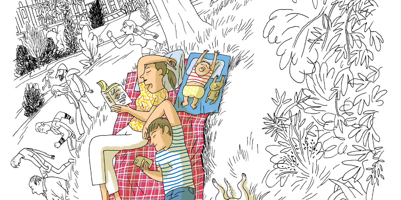 Illustration de l'article