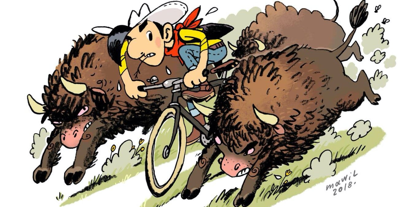 Illustration de l'article