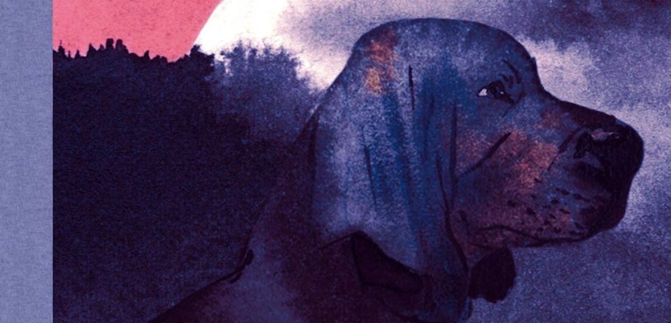 Illustration de l'article