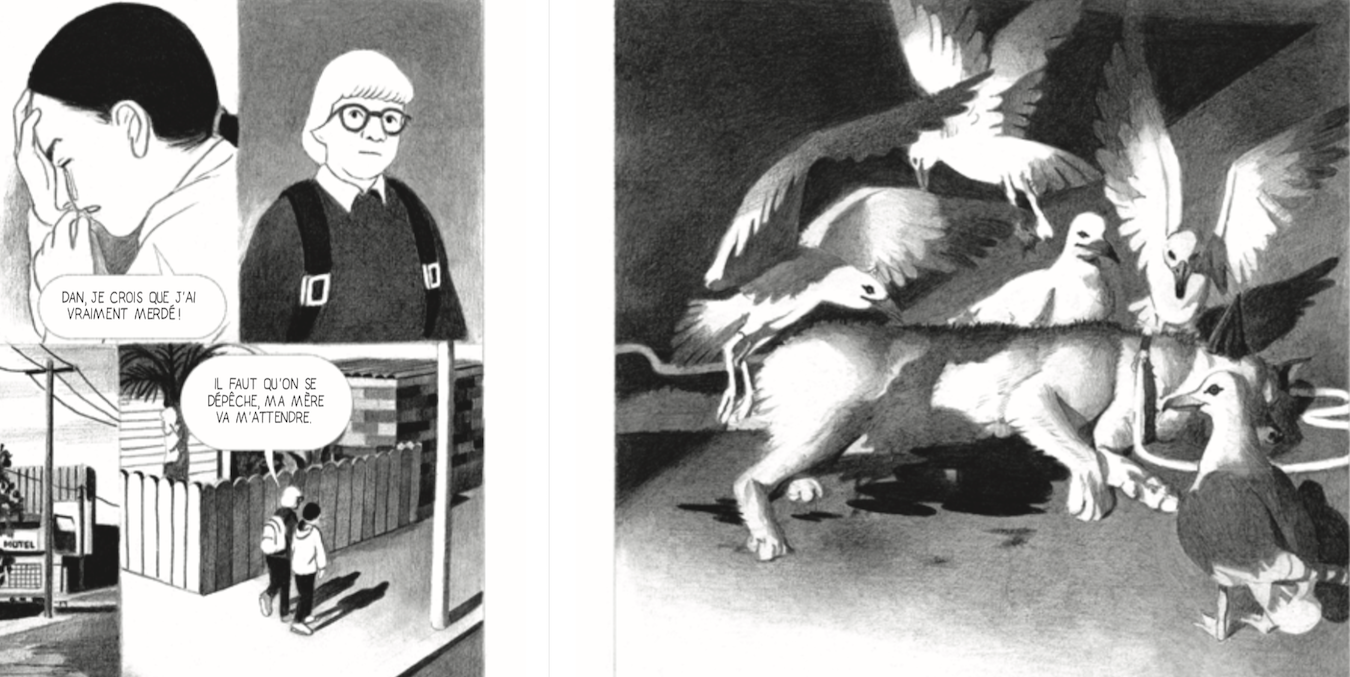 Illustration de l'article