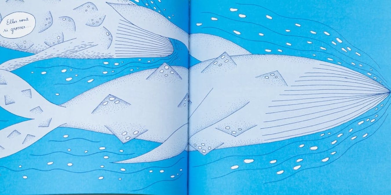 Illustration de l'article