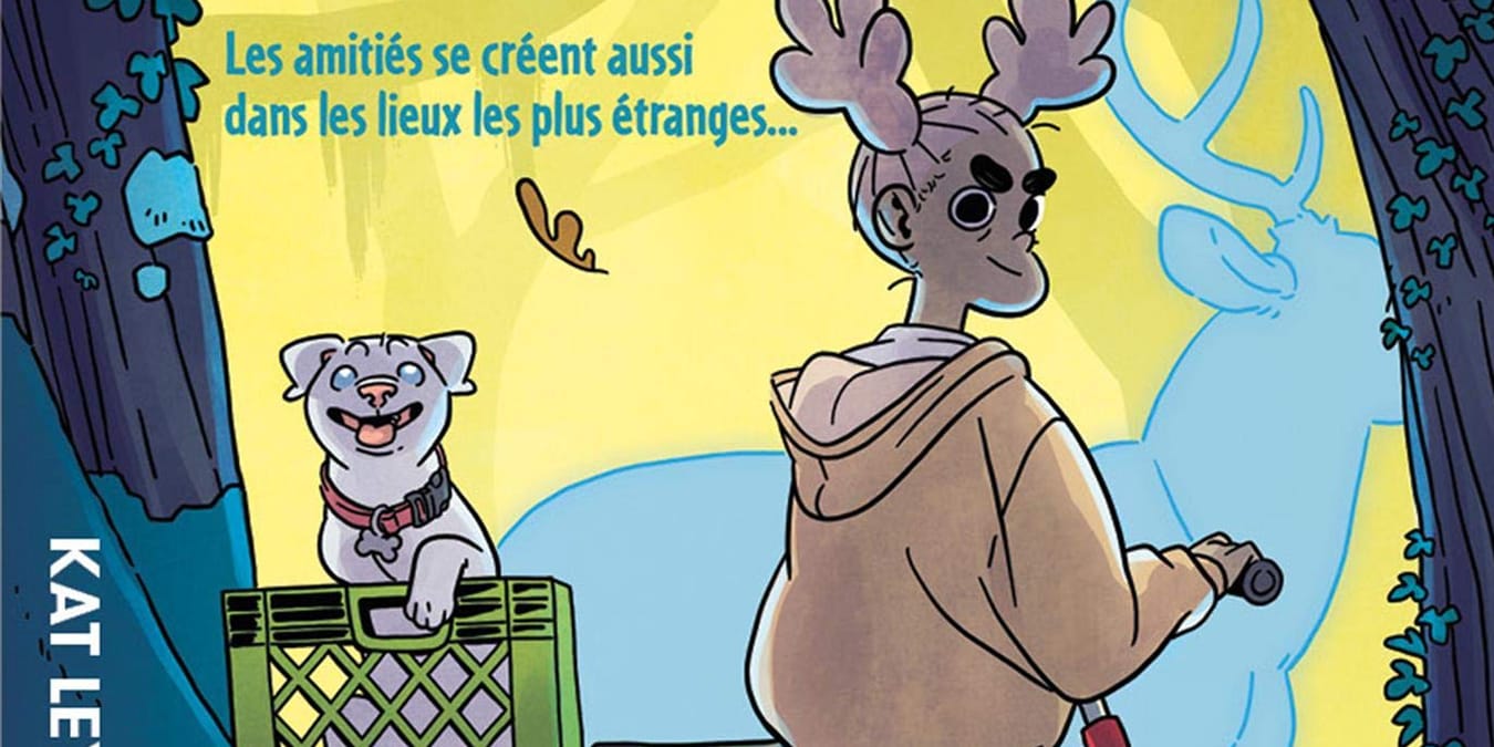 Illustration de l'article