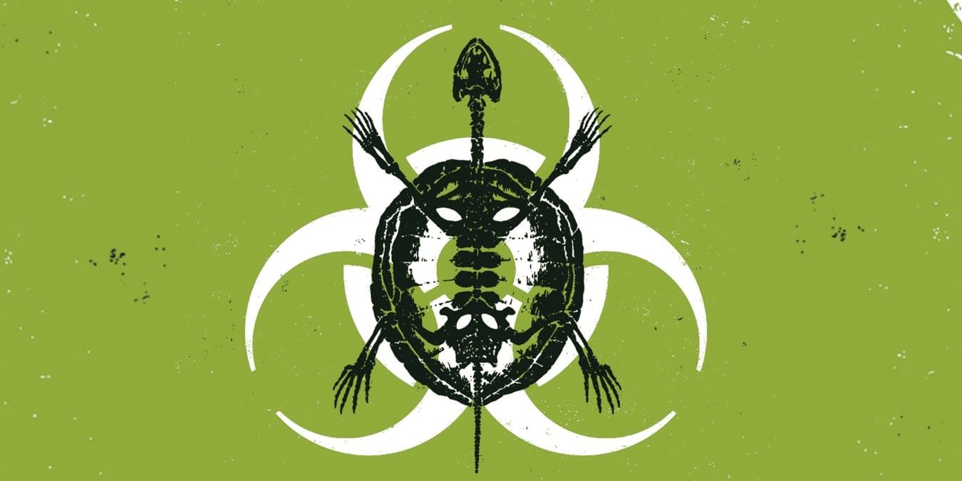 Illustration de l'article
