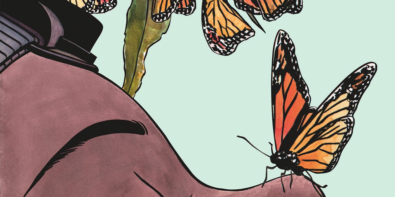 Illustration de l'article
