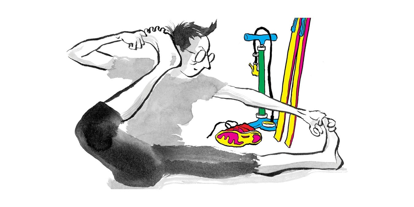 Illustration de l'article
