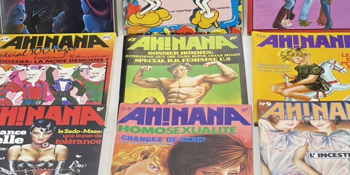 Illustration de l'article