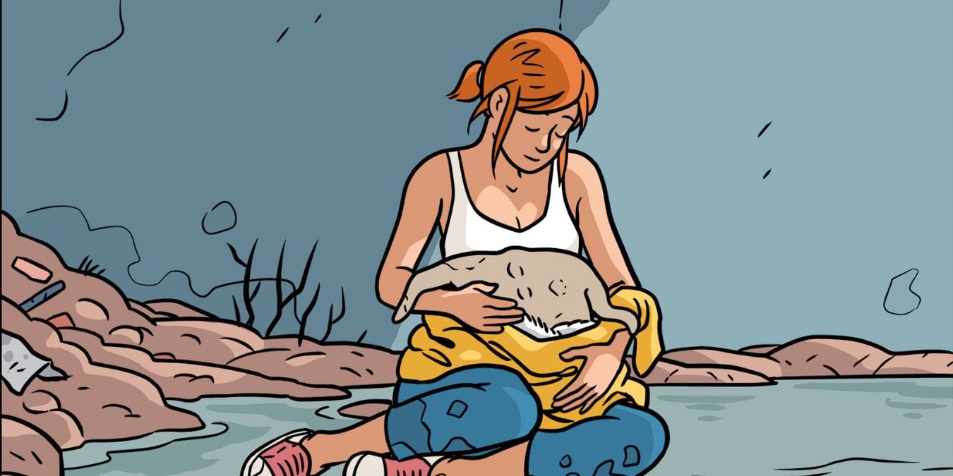 Illustration de l'article