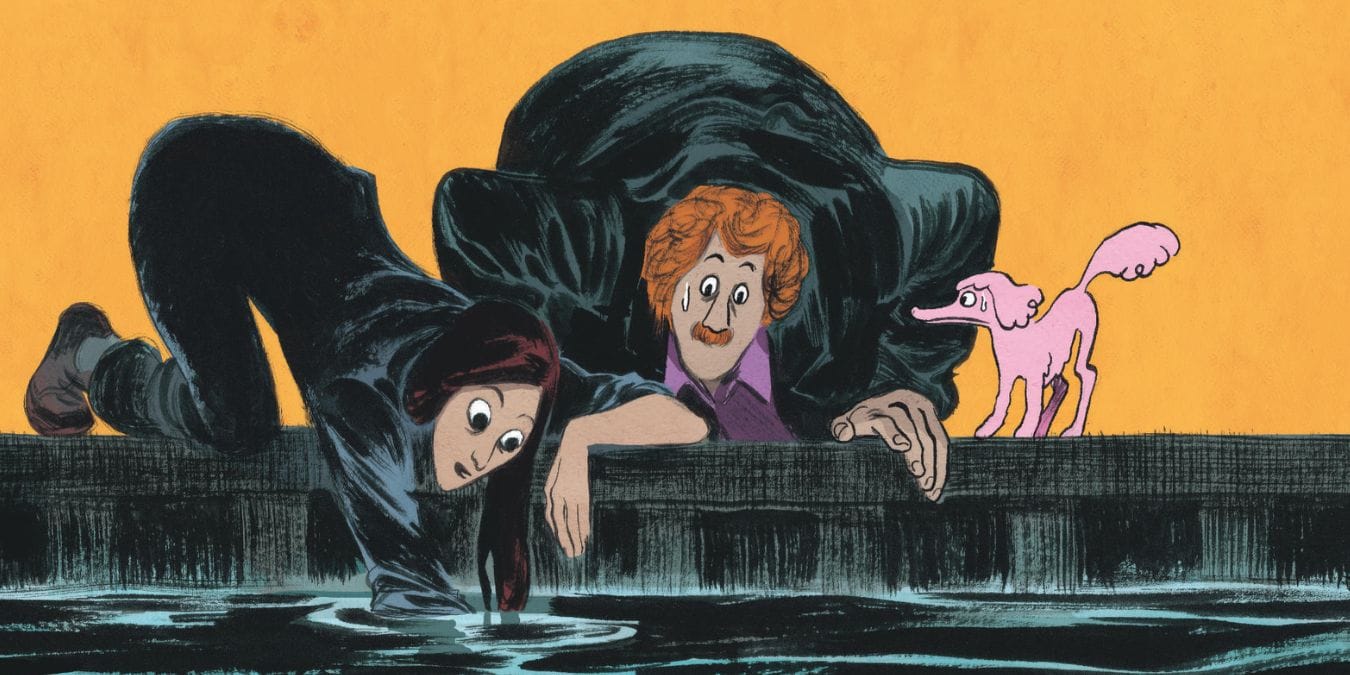 Illustration de l'article