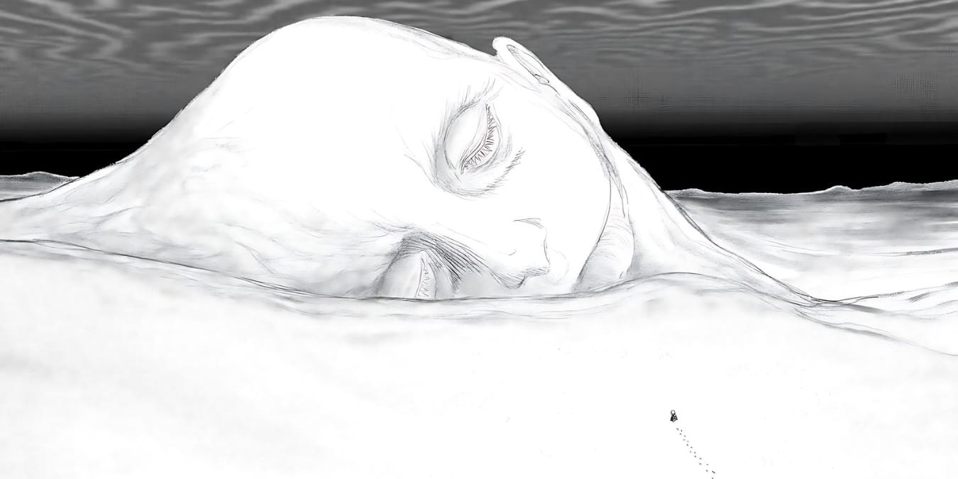 Illustration de l'article