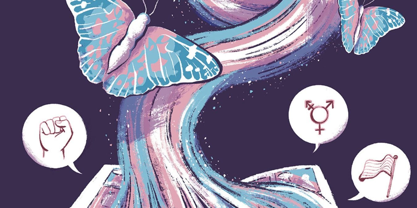 Illustration de l'article