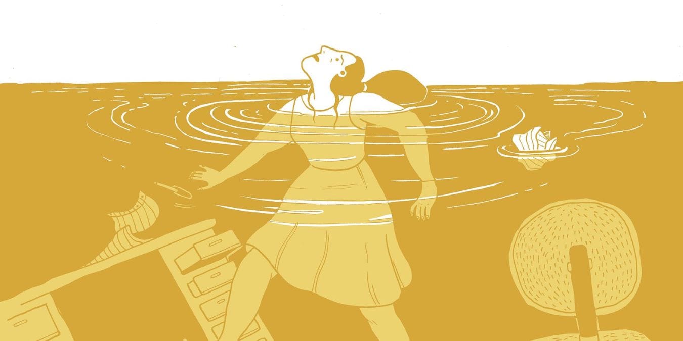 Illustration de l'article