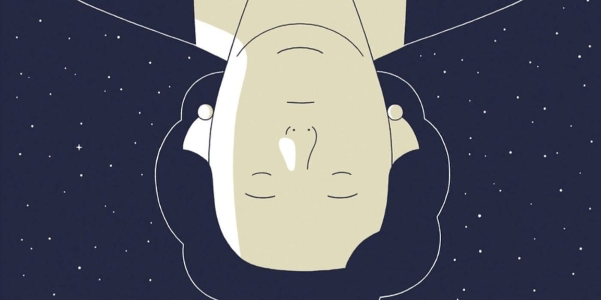 Illustration de l'article Interview de Fabien Roché pour La météorite de Hodges