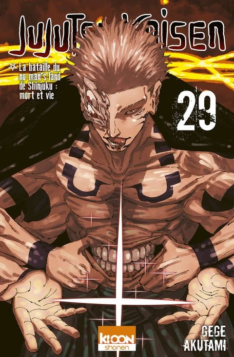 Couverture de Jujutsu Kaisen - Tome 29